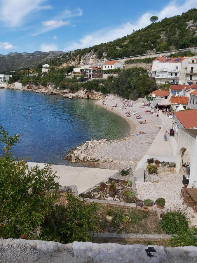 Sea Vision * Dubrovnik